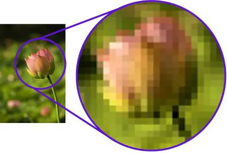 A pink flower bud in focus with a blurred green background. Inset magnified view shows pixelated detail of the bud and stem.